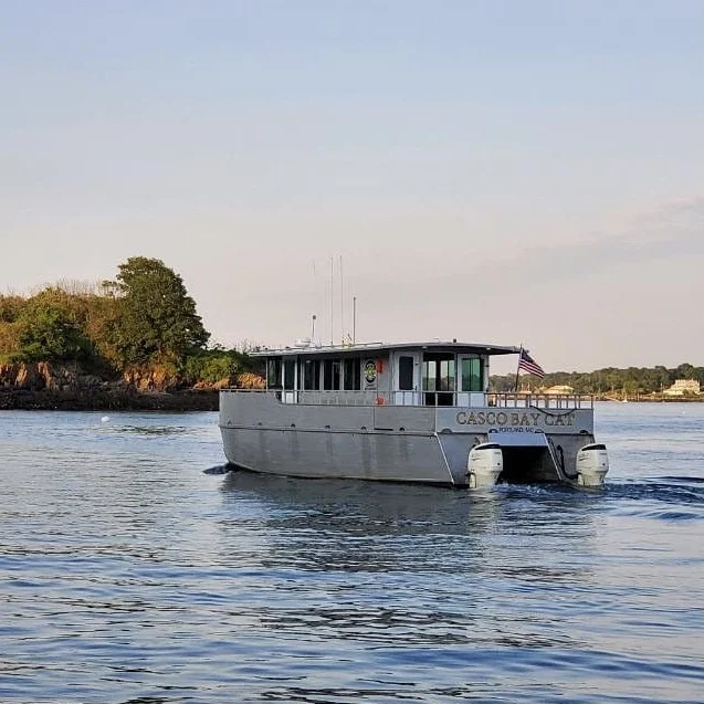 Casco Bay Cat 3